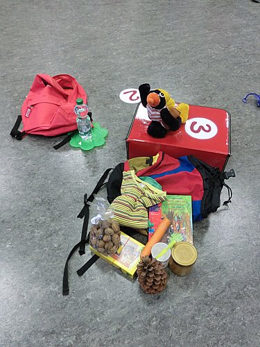 2015_01_15_bibfit_altstadt (10).JPG